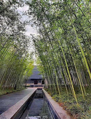 生態產區